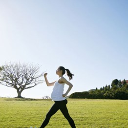 What are the Pregnancy Health Essentials?